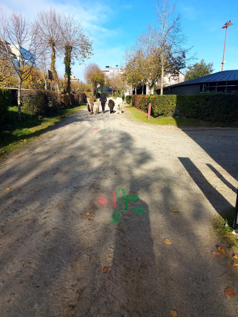 Localisation de l'ensemble des réseaux enterrés au niveau du Haras de la Roche sur Yon